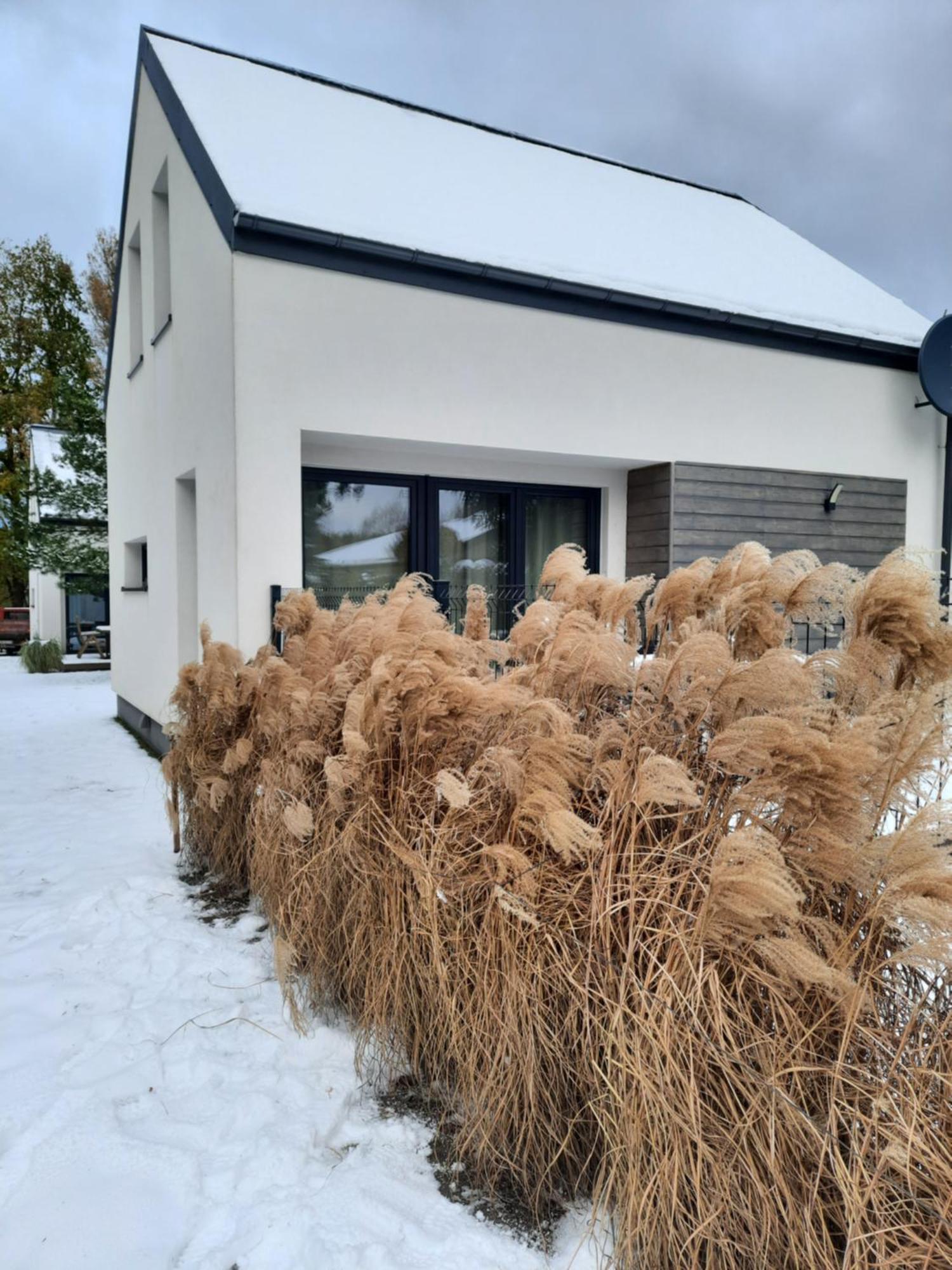 Sosnowe Zacisze Villa Sasino Exterior photo